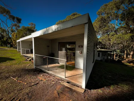 Bimbi Park - Camping under Koalas