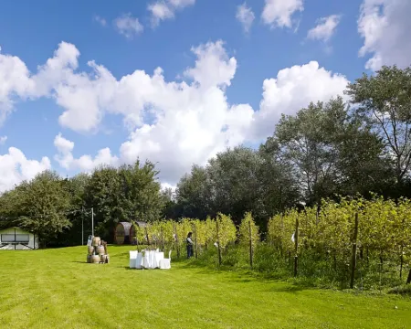 Mercure Tagungs & Landhotel Krefeld Hotels in Krefeld