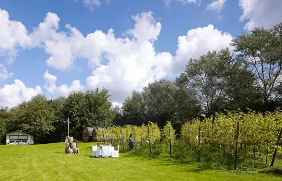塔岡與喜地美居酒店