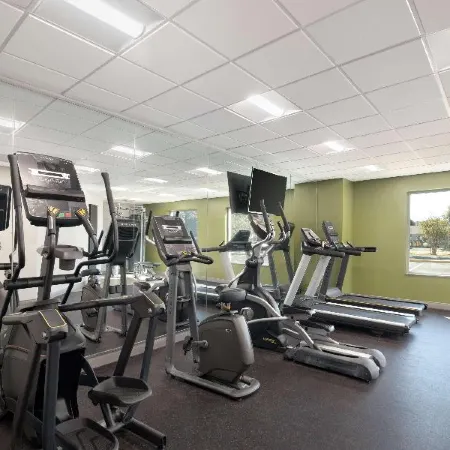 Spark by Hilton Destin