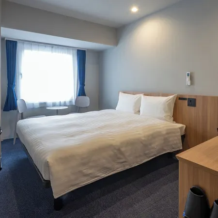 Toyoko Inn Kochi