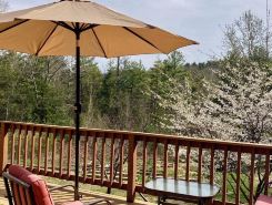 Sunny Chalet Nestled in the Woods of Ashfield