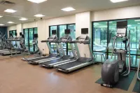 Holiday Inn Express & Suites ROCHESTER WEBSTER by IHG - Gym