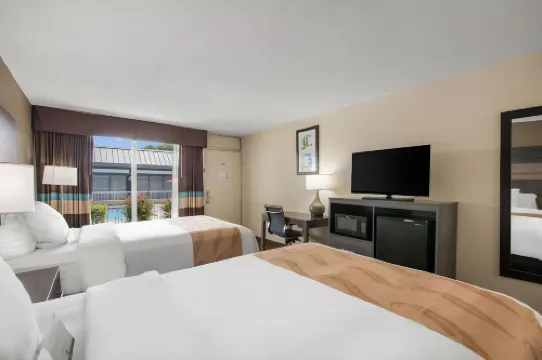 クオリティ イン コンコード カナポリス