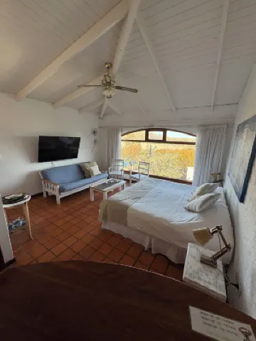 The Paradise Hotels in 