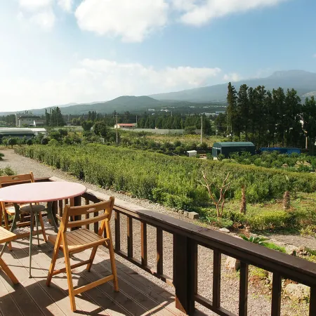 Seogwipo Jeju Hyeyum Pension Отели рядом с достопримечательностью «Атлетический парк Сусан»