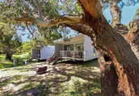 Bimbi Park - Camping under Koalas Hotels in 