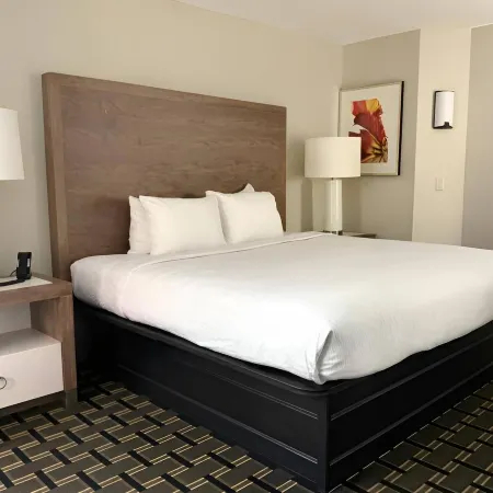 Edn Hotel