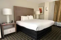 Edn Hotel - Wifi