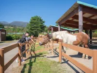 FOREST GLAMPING RESORT ITU - 2 Sao
