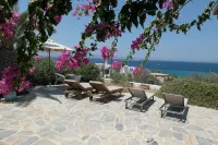 Charming Naxos Villa, Ocean Views, Modern Comfort, Tranquil Escape - 別墅