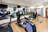 Holiday Inn Express & Suites LAREDO-EVENT CENTER AREA by IHG - salle de sport