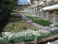 Oasi di Pace - Homestay