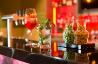 Leonardo Hotel Offenbach Frankfurt - bar