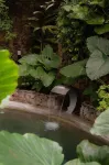 Caracoral Hotel Boutique - spa