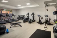 Hilton St. Petersburg Carillon Park - Gym