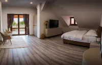 TERRA - Wi-Fi