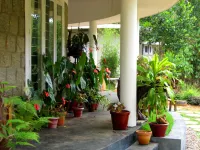 Fragrance - Wild Munnar House
