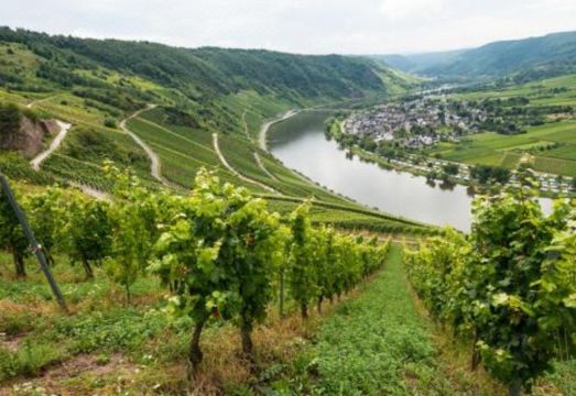 호텔 트라베너 호프