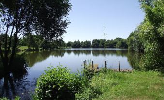 Les Belles Epoques B&B - Piscine - Terrasses - Brumisateurs - Proche Puy du Fou