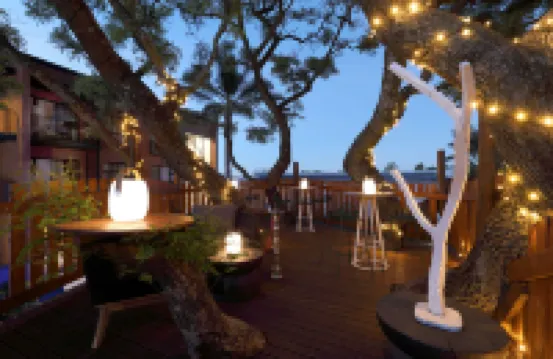 하얏트 하우스 조하네스버그, 샌턴  호텔