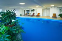 Aikendor Hotel Panorámico - Pool
