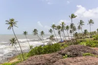 Go Green Spice Eco Resort - Wifi