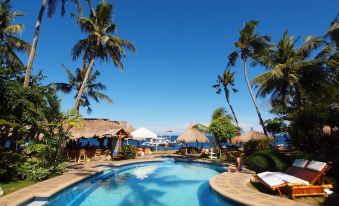 Pura Vida Beach & Dive Resort