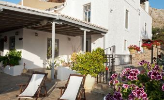 Bellevalia Hydra - Formerly Four Seasons Hydra