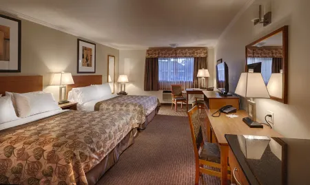 Canalta Jurassic Отели в г. Драмеллер