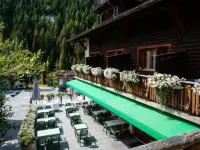 Pointe de Zinal Hotels in Zinal