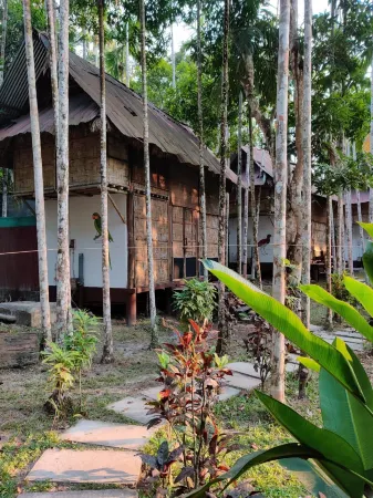 The Forest Elephant - Formerly Known As the Flying Elephant Отели в г. Остров Хейвлок