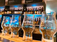 Lille Gare - Grand Palais - bar