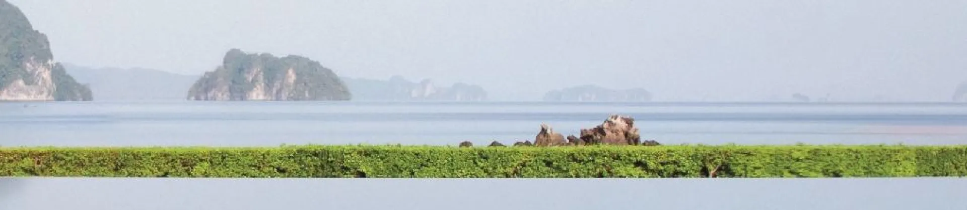 Biệt thự