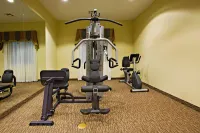 Holiday Inn Express & Suites SNYDER by IHG - Kuntosalit