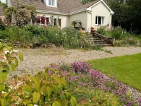 Blossom Hill Bed and Breakfast Hotels in Clare