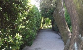 Villa Solary