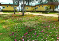 Hadthong Resort