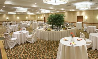 Hilton Garden Inn Dallas/Richardson