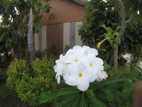 Win Resort Hat Yai Hotels near Khlong Hae Floating Market