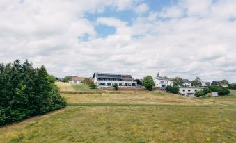 Fetz Das Loreley Hotel