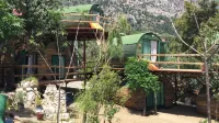 Mandala Camping