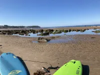 Seaview Holiday Home Hotels in Scalby