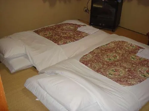 Pacific Hotel Koteyama Hotels in Haga District