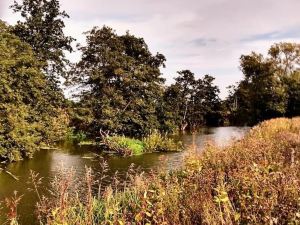 Luxury Studio Cottage at Foot of Yorkshire Wolds