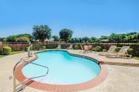 Super 8 by Wyndham McKinney/Plano Area - Kolam Renang