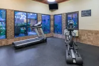 Super 8 by Wyndham O'Fallon - Gym