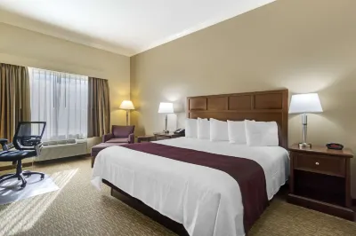 Best Western Plus Grapevine Inn Hotels in 