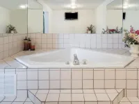Wingate by Wyndham Indianapolis Airport Plainfield - Kylpyammeita
