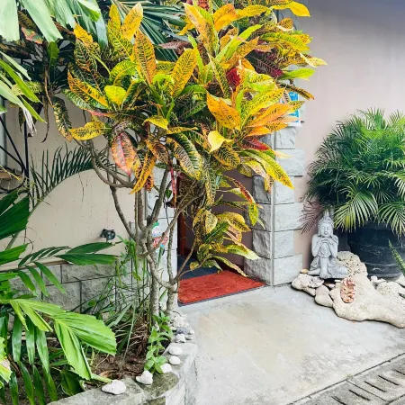 Effie’s Mountain View Villa (Gecko Villa)